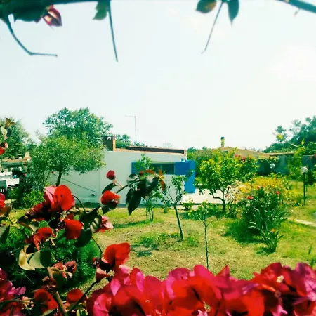 Surf House *